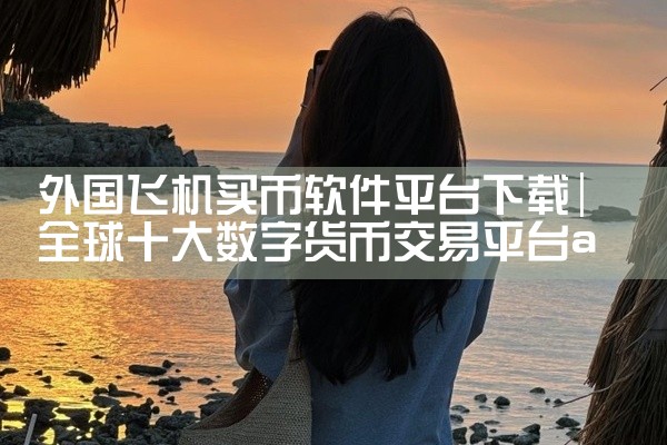 外国飞机买币软件平台下载
