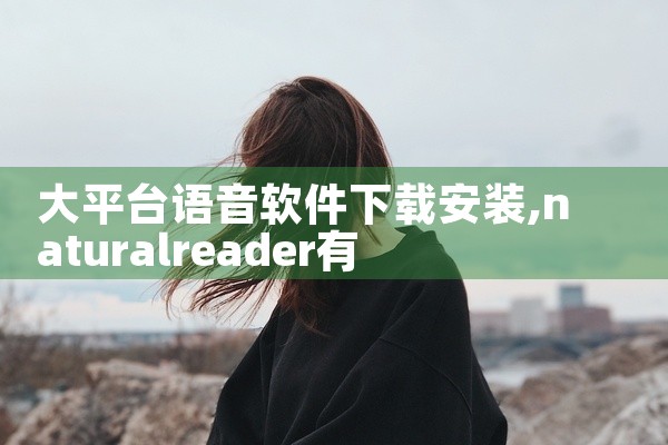 大平台语音软件下载安装
