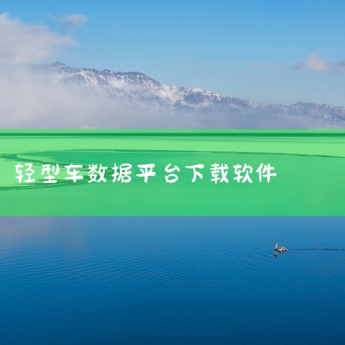 检查二手小汽车可使用“汽修宝”App，该应用可在应用宝、百度手机助手等平台下载。以下是关于“汽修宝”App的详细介绍：一、功能特点“汽修宝”是一款专为汽车用户设计的综合性工具类应用，其核心功能覆盖二手|