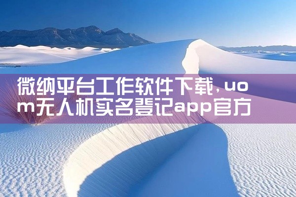 微纳平台工作软件下载