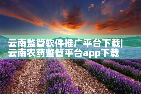 云南监管软件推广平台下载