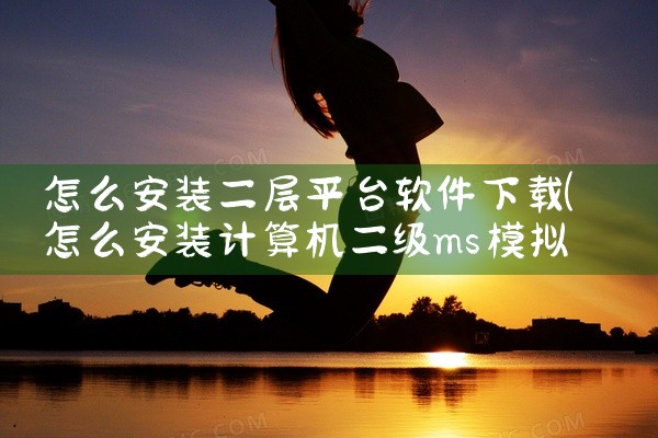 怎么安装二层平台软件下载