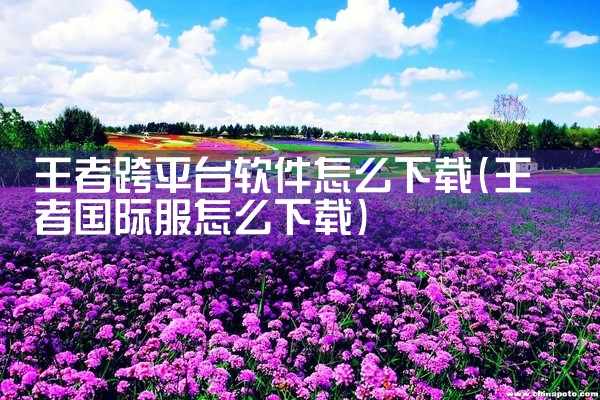 王者跨平台软件怎么下载