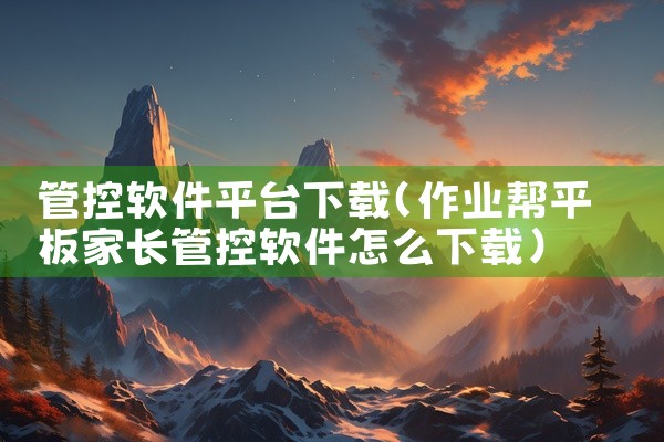 管控软件平台下载