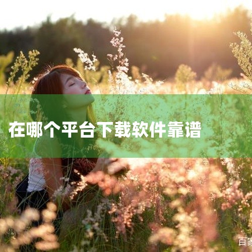 官方网站：推荐理由：官方网站是软件开发者直接提供的下载渠道，软件版本最新且经过严格测试，不含有恶意插件或病毒。知名软件下载平台：如360软件管家、太平洋电脑网、多特软件站、中关村在线、华军软件园等：这|