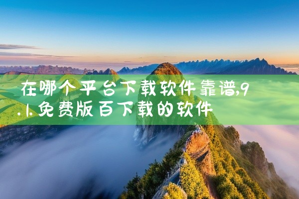 在哪个平台下载软件靠谱