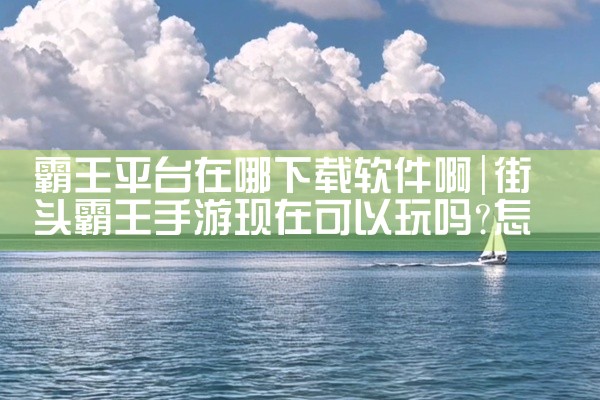 霸王平台在哪下载软件啊
