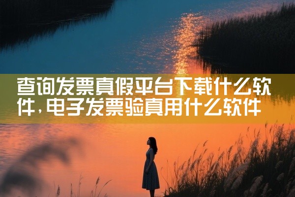查询发票真假平台下载什么软件